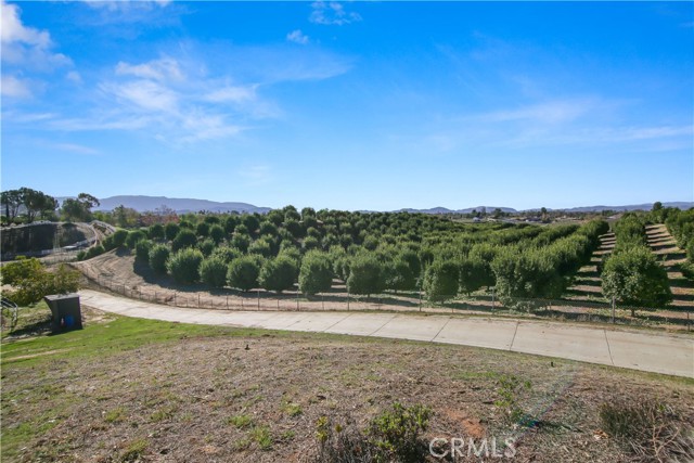 Detail Gallery Image 22 of 32 For 39645 Bella Vista Rd, Temecula,  CA 92592 - 3 Beds | 2 Baths