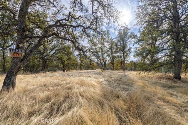 Detail Gallery Image 18 of 29 For 17333 Wagon Wheel Road, Corning,  CA 96021 - – Beds | – Baths