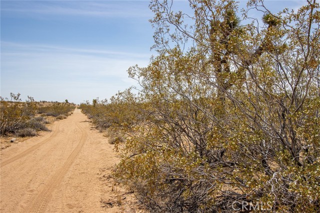 Detail Gallery Image 10 of 16 For 4444 Cielito Dr, Joshua Tree,  CA 92252 - – Beds | – Baths