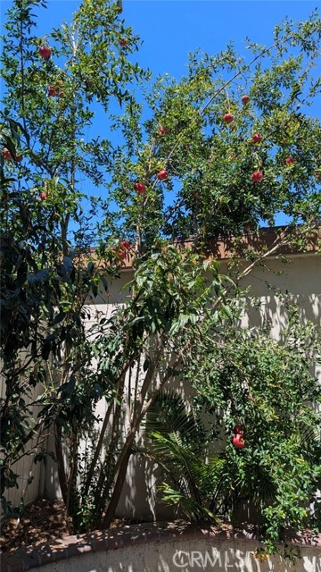 Detail Gallery Image 16 of 21 For 15500 Tustin Village #103,  Tustin,  CA 92780 - 2 Beds | 1/1 Baths