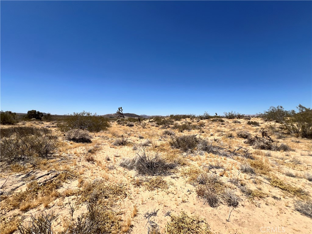MLS #SW24134801 image #8