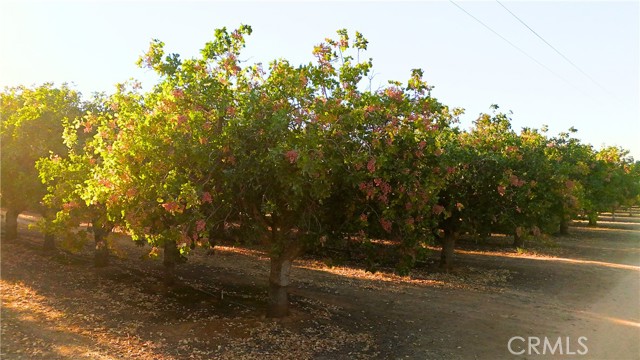 0 AVE 21-ROAD 27, Madera CA: https://media.crmls.org/medias/8b17642a-e7cf-4dfd-b3af-596a9999cbcd.jpg