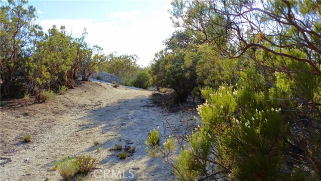 40 Acres Puerta La Cruz, Warner Springs, California 92086, ,Residential Land,For Sale,Acres Puerta La Cruz,ND24142940