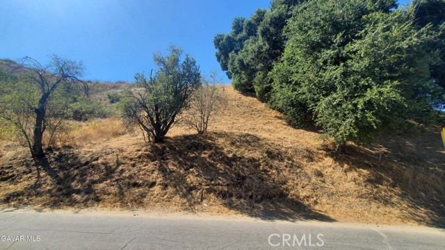 Front Image Thumbnail for CRSR26174718