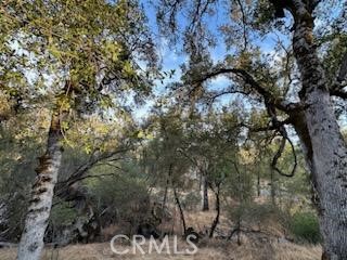 4116 Silver Bar Rd., Mariposa, California 95338, 2 Bedrooms Bedrooms, ,1 BathroomBathrooms,Single Family Residence,For Sale,Silver Bar Rd.,MP24194213