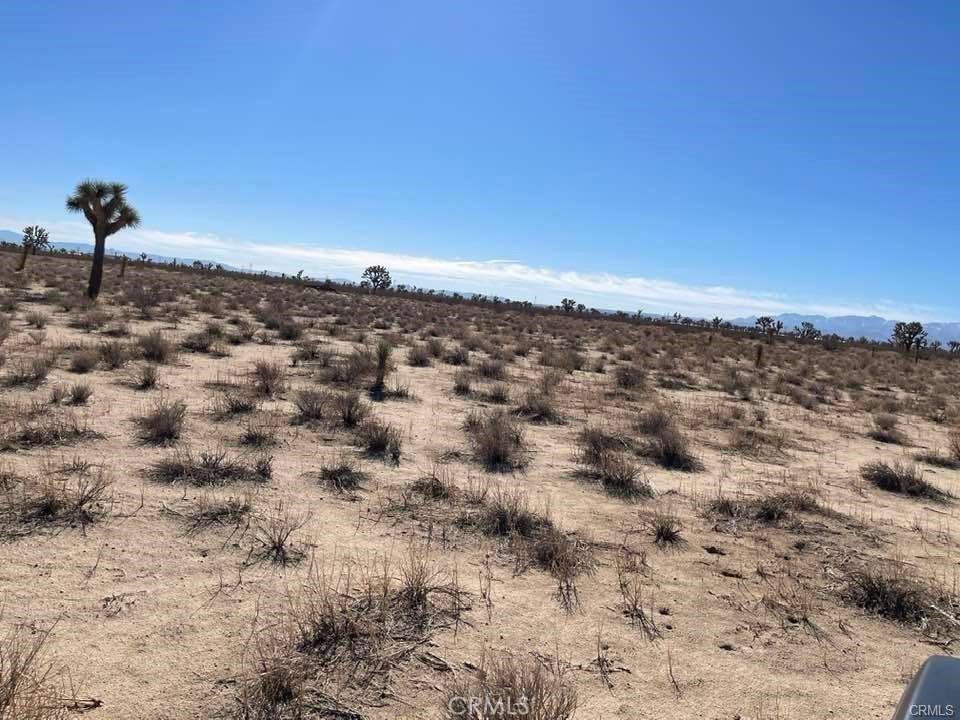 MLS #HD25000657 image #12