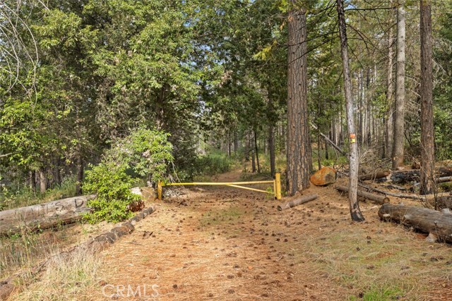 Detail Gallery Image 3 of 16 For 0 Old Forbestown Rd, Forbestown,  CA 95941 - – Beds | – Baths