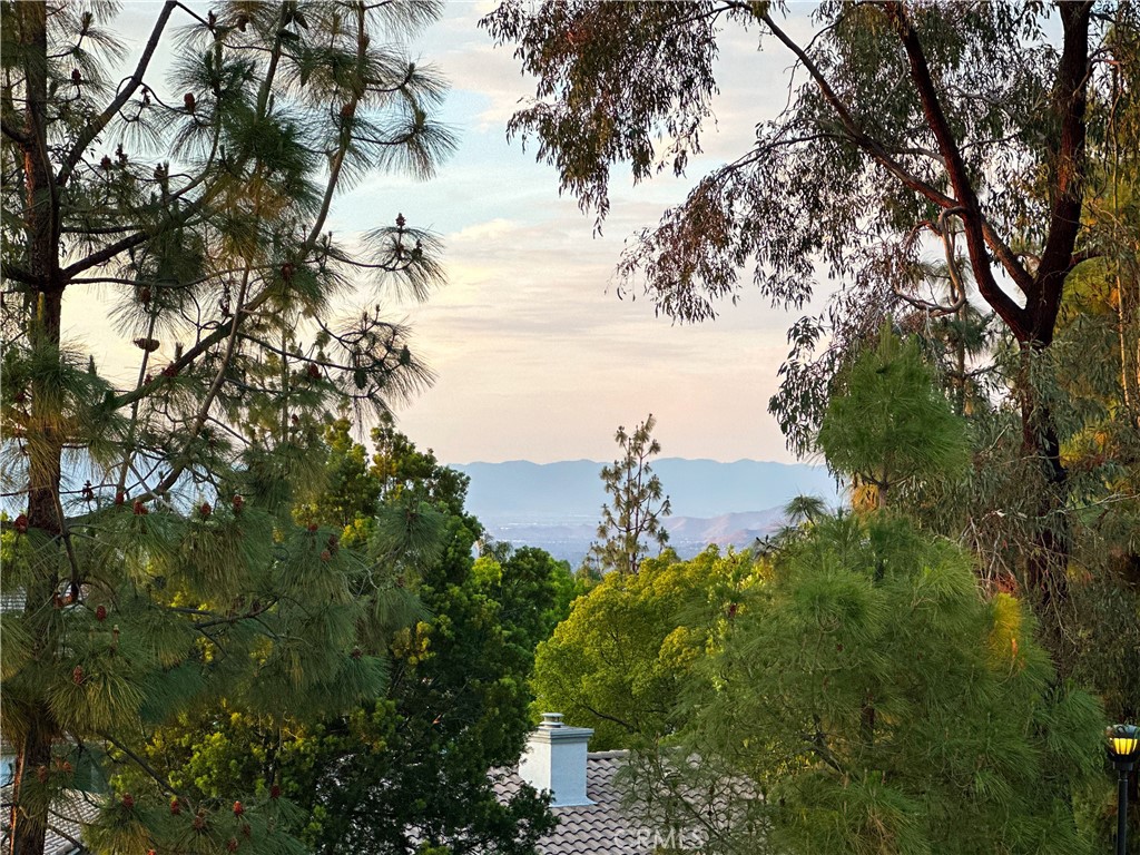 https://media.crmls.org/medias/8b3675b8-ddc9-48ea-ad01-08f600484c60.jpg?preset=X-Large