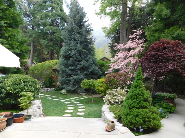 36976 SYCAMORE Drive, Mountain Home Village CA: https://media.crmls.org/medias/8b3e2c31-5ae2-4d25-a395-727440f6169b.jpg