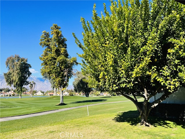 Detail Gallery Image 61 of 74 For 704 Inverness Dr, Rancho Mirage,  CA 92270 - 3 Beds | 3 Baths