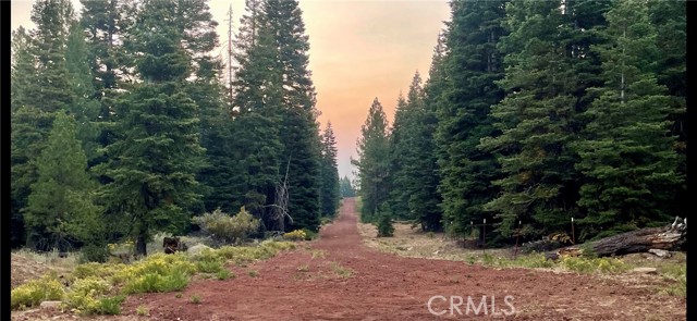0 California Pines Blvd, Alturas CA: https://media.crmls.org/medias/8b42c5fd-22e3-42f0-8095-476d4c6a23e9.jpg