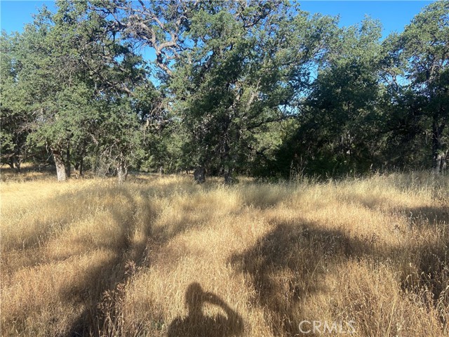 0 State Hwy 140, Mariposa CA: https://media.crmls.org/medias/8b49f9ea-696a-464d-8266-57813fbde93f.jpg