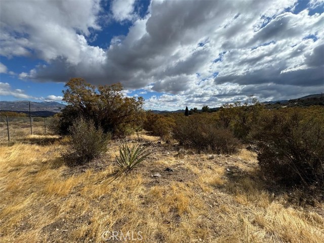 Detail Gallery Image 9 of 9 For 45101 Chapman Rd, Anza,  CA 92539 - – Beds | – Baths