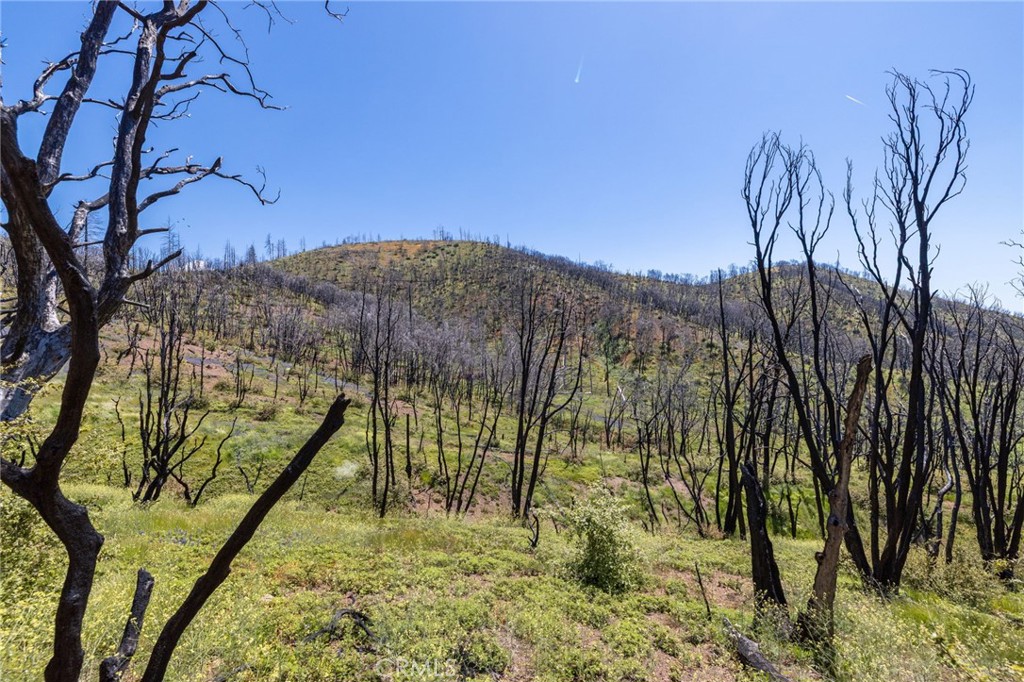 MLS #MP25088475 image #68