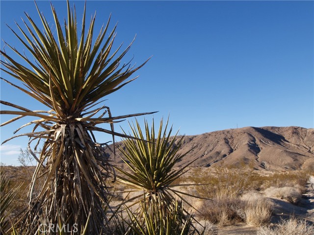 0 Lee rd, Joshua Tree, CA, 92252 0 Lee rd, Joshua Tree, CA, 92252