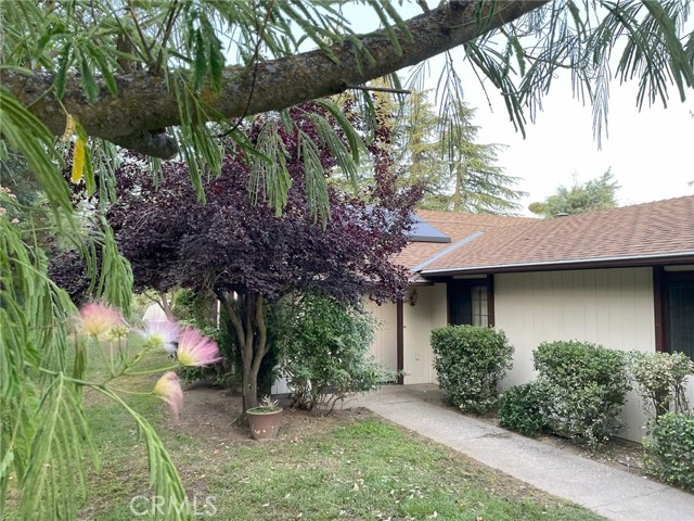 Detail Gallery Image 5 of 58 For 42177 Lone Olive Ln, Ahwahnee,  CA 93601 - 3 Beds | 2 Baths