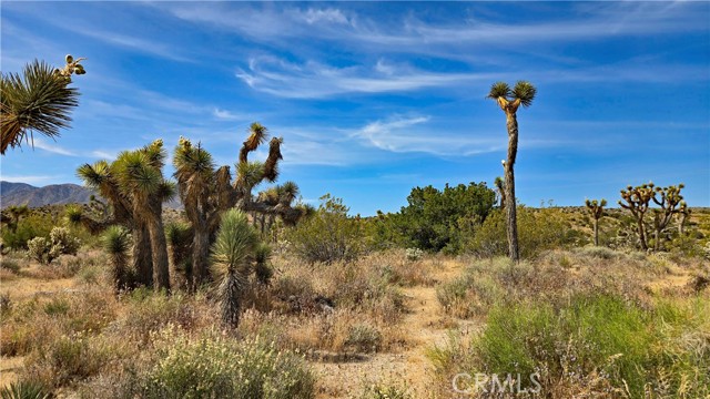 Detail Gallery Image 18 of 49 For 0 103rd St East Vicinity W14, –,  CA 93543 - – Beds | – Baths