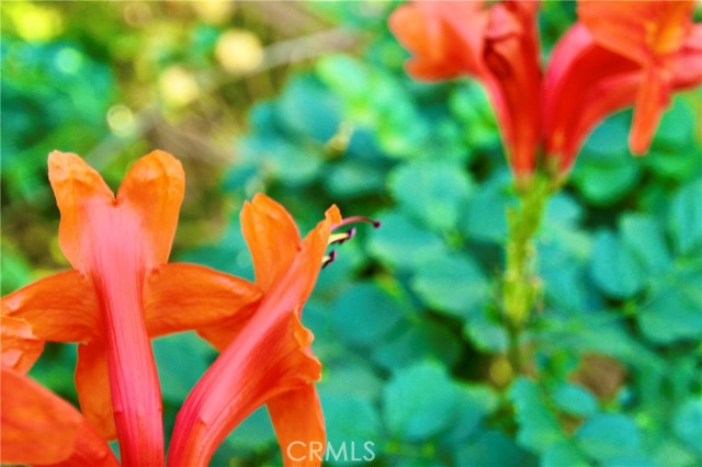 Detail Gallery Image 2 of 49 For 79927 Viento, La Quinta,  CA 92253 - 4 Beds | 3 Baths