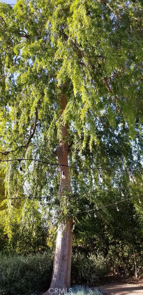 https://media.crmls.org/medias/8b68f3eb-5a66-41ec-9de2-fbc0b041cca8.jpg?preset=X-Large