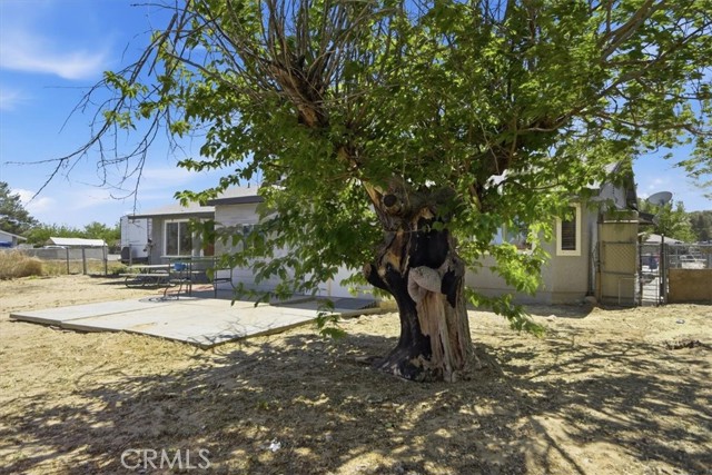 15235 Newmont, Lancaster CA: https://media.crmls.org/medias/8b6c9986-49a8-40cc-86d8-7881890ed427.jpg