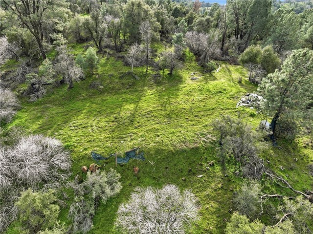 Detail Gallery Image 10 of 23 For 0 Lookout Moumtain, Mariposa,  CA 95338 - – Beds | – Baths