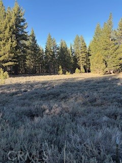 Detail Gallery Image 11 of 15 For 34557 Polique Canyon, Fawnskin,  CA 92333 - – Beds | – Baths