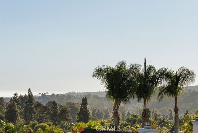 Detail Gallery Image 52 of 58 For 24912 Eaton Ln, Laguna Niguel,  CA 92677 - 4 Beds | 2/1 Baths