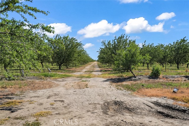 Detail Gallery Image 6 of 20 For 0 Buchanan Hollow Rd, Le Grand,  CA 95333 - – Beds | – Baths