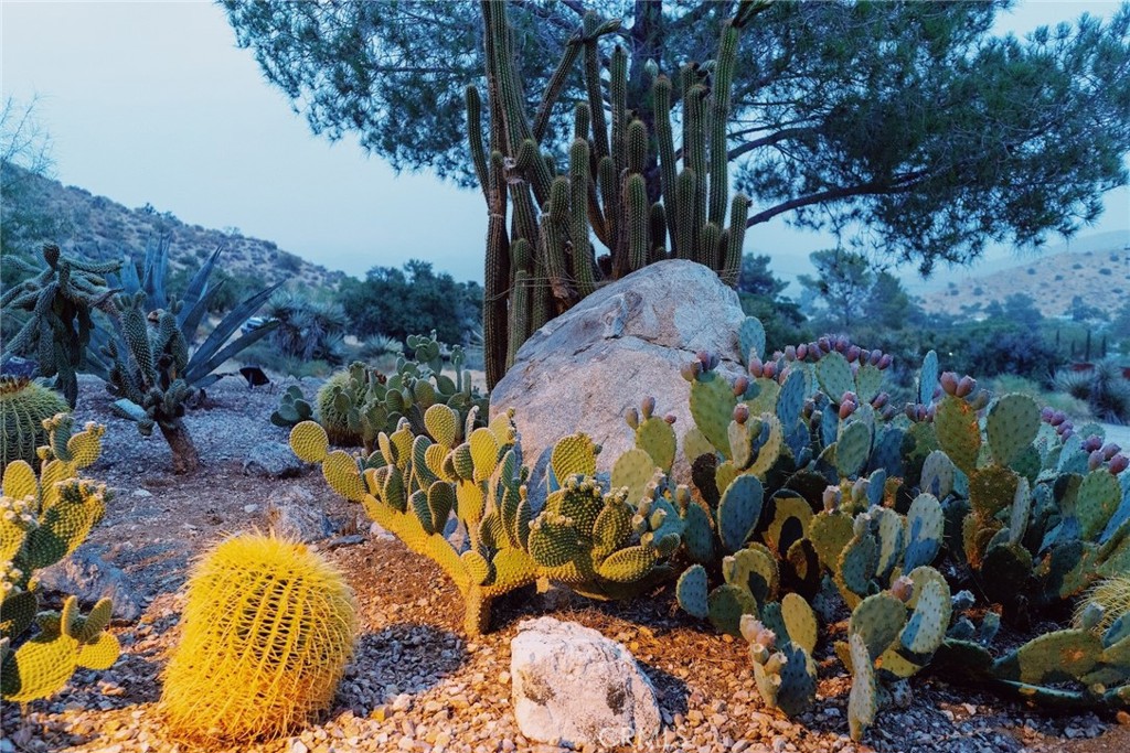 MLS #JT25265838 image #42