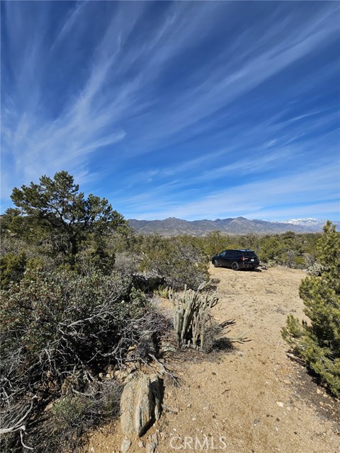 Detail Gallery Image 17 of 19 For 155 Lot #155 Buckthorn, Mountain Center,  CA 92561 - – Beds | – Baths