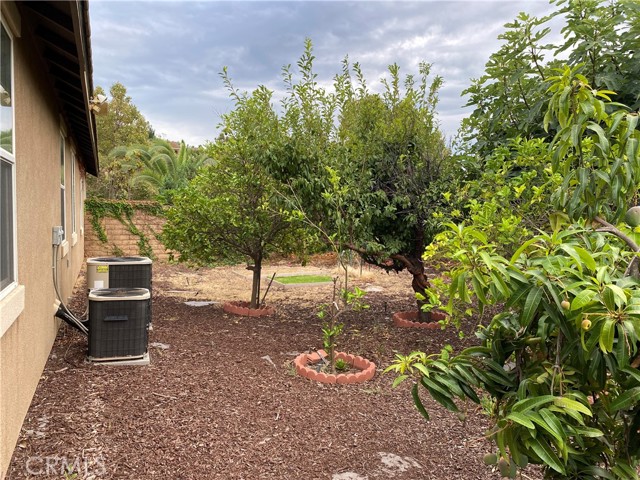 fruit trees