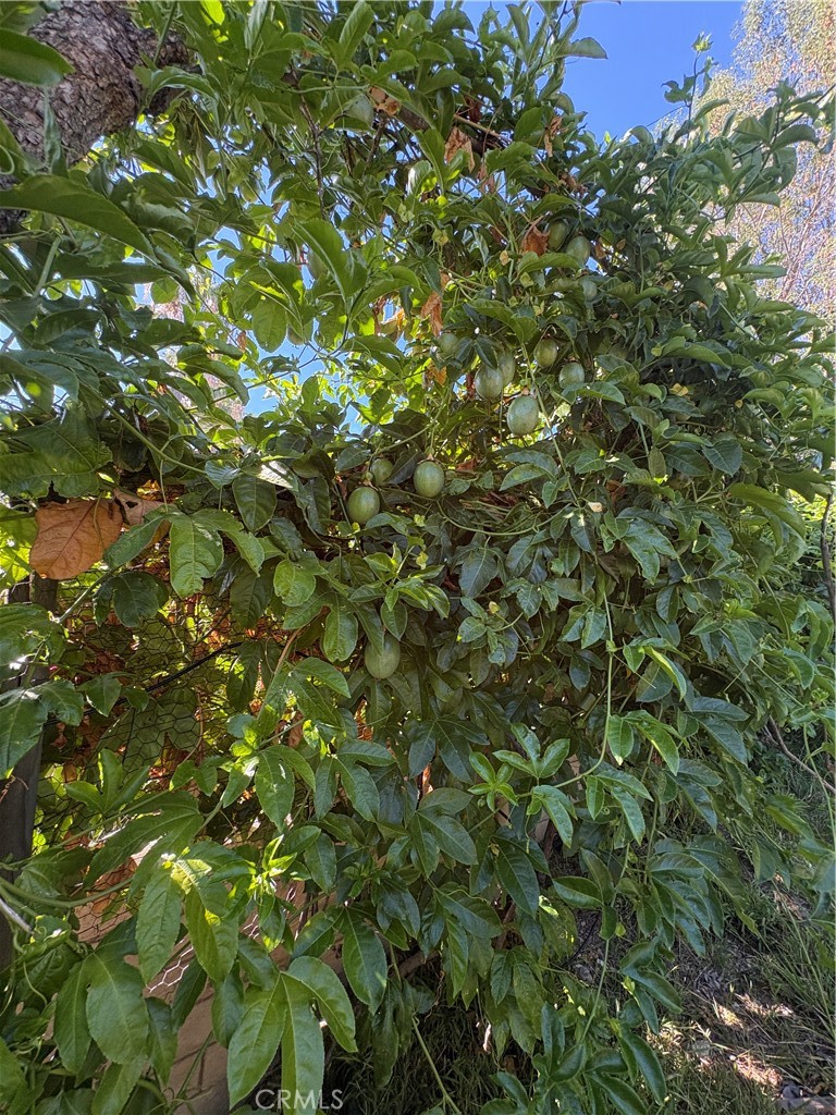 https://media.crmls.org/medias/8b88c661-cb92-4aaf-b622-b47f176ed0f2.jpg?preset=X-Large