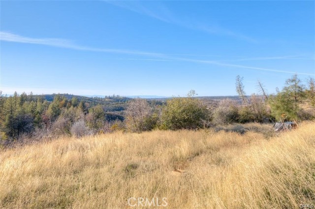 0 Miller Peak Road, Oroville CA: https://media.crmls.org/medias/8b8d8349-998d-4b35-a889-aa25cc52a8eb.jpg