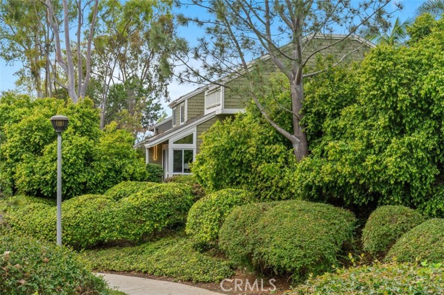 Front Image Thumbnail for CROC26037996