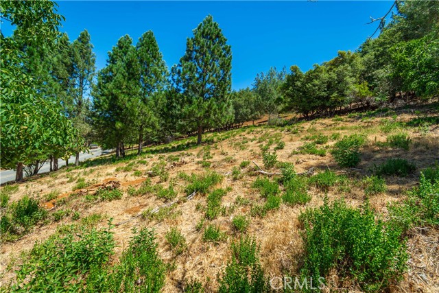 Detail Gallery Image 69 of 75 For 3126 Edgewood Drive, Kelseyville,  CA 95451 - – Beds | – Baths