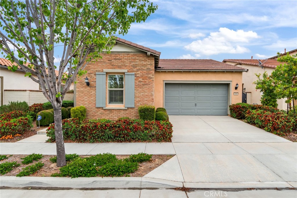 336 Terrazo Drive