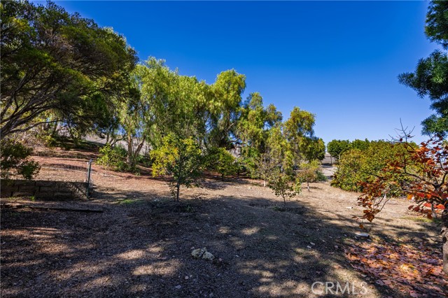 Detail Gallery Image 58 of 58 For 31561 Peppertree Bend, San Juan Capistrano,  CA 92675 - 5 Beds | 3/1 Baths