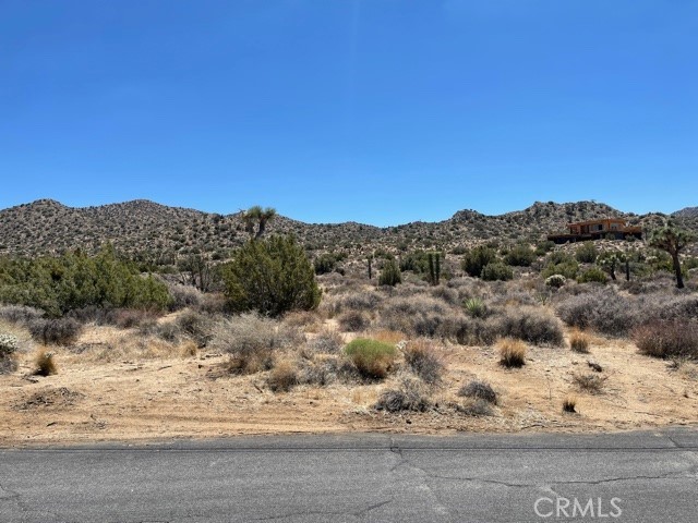 MLS #JT25087199 image #4