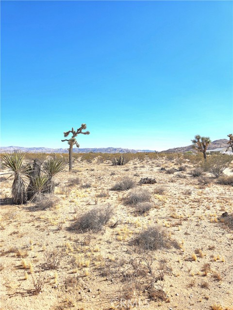 1 Cielito, Joshua Tree, CA, 92252 1 Cielito, Joshua Tree, CA, 92252
