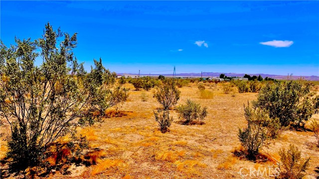 0 Sheep Creek Road, Adelanto CA: https://media.crmls.org/medias/8bb777c6-24de-4a58-933e-0003a0e073f7.jpg