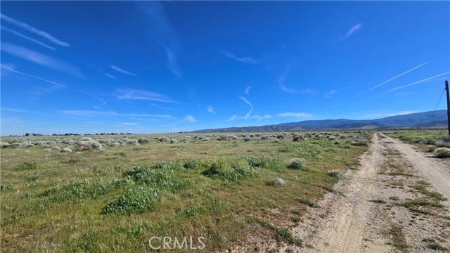 Detail Gallery Image 19 of 36 For 0 Vicinity Ave B12 & 265th St W, –,  CA 93536 - – Beds | – Baths