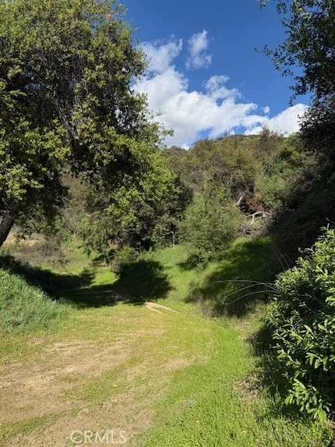 0 Greenwich Road, Glendale CA: https://media.crmls.org/medias/8bb951b3-0fff-41e1-9135-b1689ee43be1.jpg