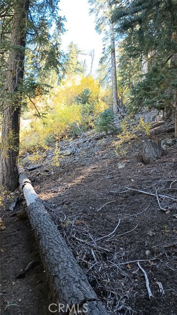 0 Cherry, Big Bear Lake, CA, 92315 0 Cherry, Big Bear Lake, CA, 92315