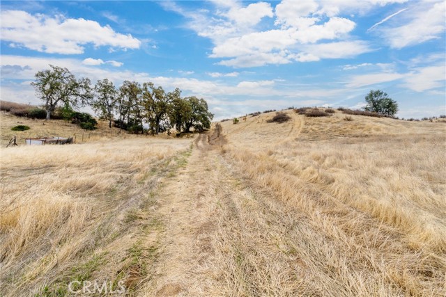 Detail Gallery Image 5 of 16 For 17315 Rancho Tehama Road, Corning,  CA 96021 - – Beds | – Baths