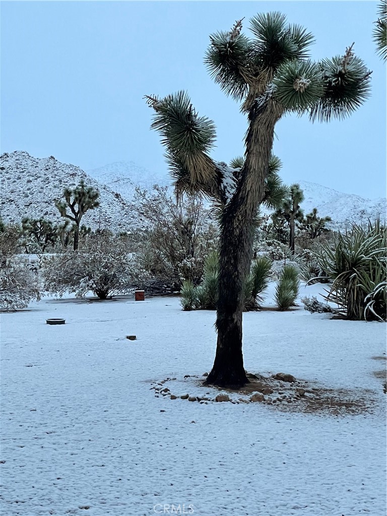 8Bbfda44 D318 4E44 8Ca6 0Edee0Ac0F21 59019 Pueblo Trail, Yucca Valley, Ca 92284 &Lt;Span Style='BackgroundColor:transparent;Padding:0Px;'&Gt; &Lt;Small&Gt; &Lt;I&Gt; &Lt;/I&Gt; &Lt;/Small&Gt;&Lt;/Span&Gt;