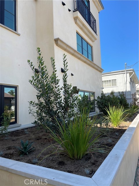 361 Myrtle Street, 202 photo 5