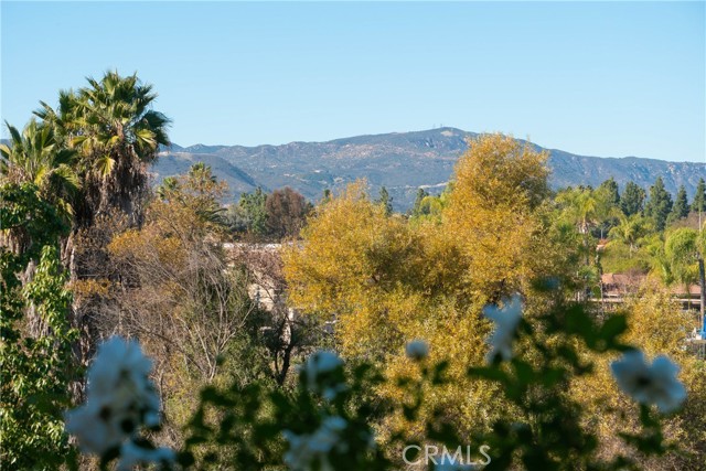 Detail Gallery Image 5 of 57 For 40581 via Amapola, Murrieta,  CA 92562 - 3 Beds | 2/1 Baths