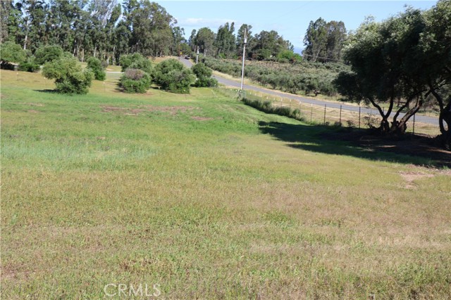 Detail Gallery Image 6 of 32 For 0 Carona Ave., Corning,  CA 96021 - – Beds | – Baths