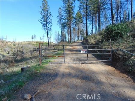 145 Golden Hawk Lane, Oroville, California 95965, ,Land,For Sale,145 Golden Hawk Lane,CRSN24047536