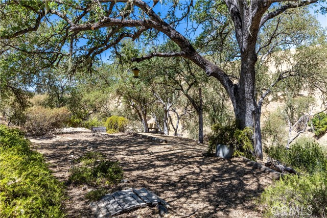 4250 Skylink Lane, Paso Robles CA: https://media.crmls.org/medias/8bc90032-aa85-4880-8d80-83ca898c2419.jpg